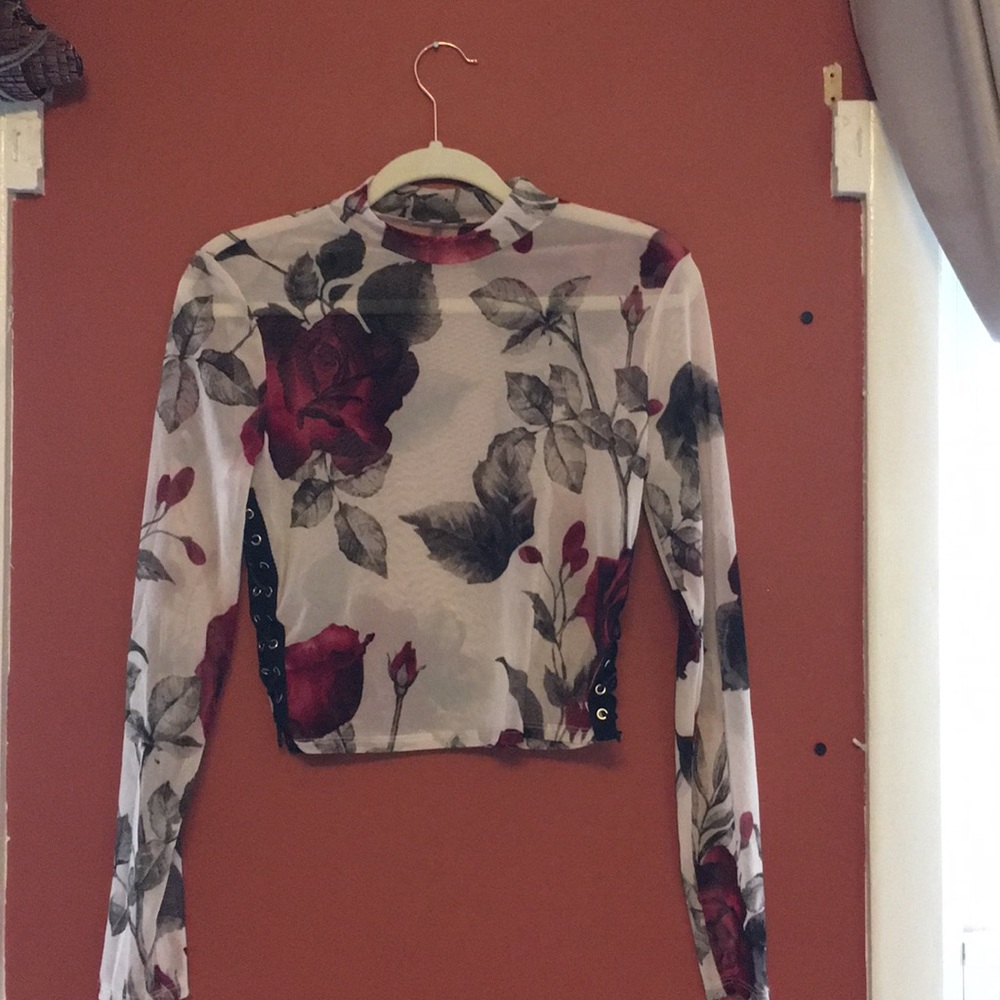 Mesh Transparent Cropped Long Sleeve Rose Top